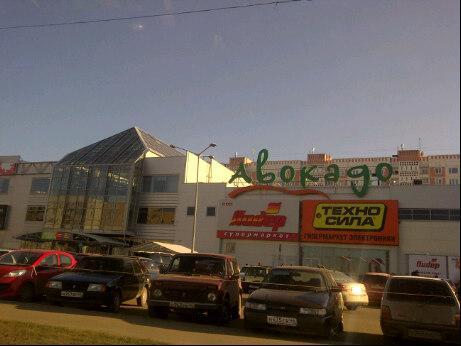 Авокадо 32 микрорайон давыдовский 3 фото Авокадо 32 микрорайон давыдовский 3 фото